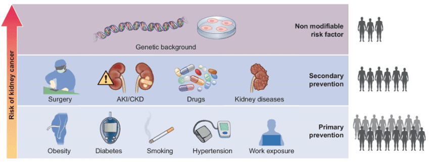 Infographic illustrating risk factors for kidney cancer, including genetic background, kidney diseases, medications, obesity, smoking, and hypertension.
