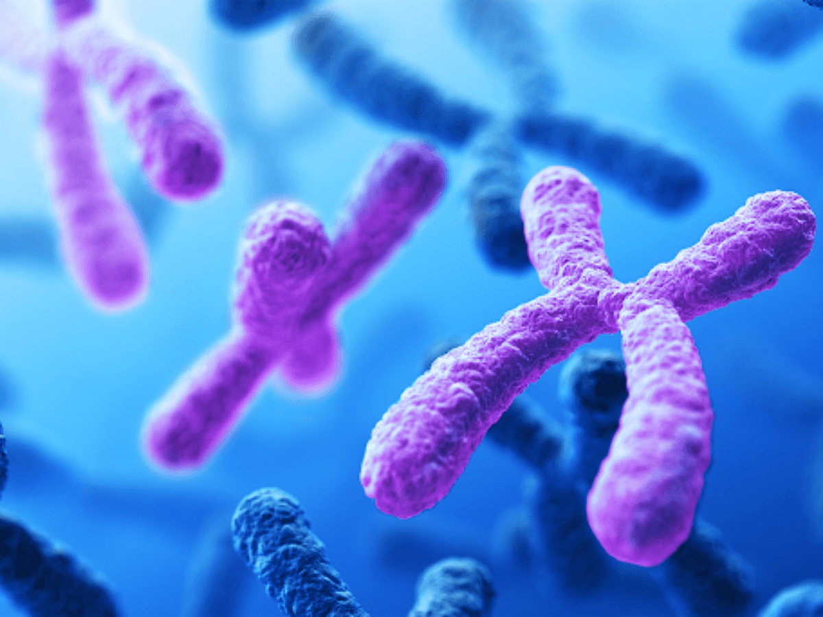 3D illustration of chromosomes representing chromosomal instability biomarkers used to predict chemotherapy resistance in cancer