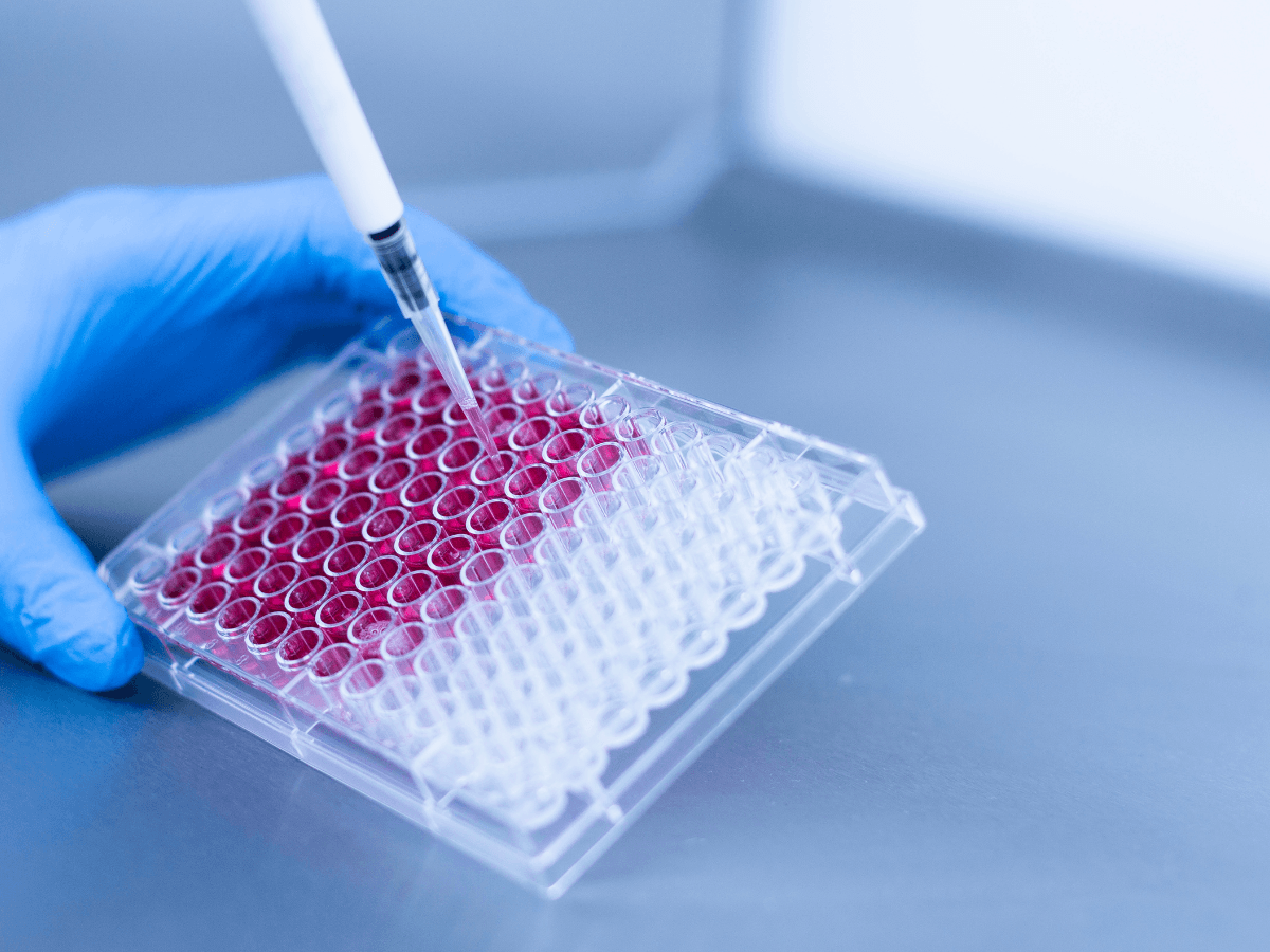 The Future of Precision Oncology: Biomarkers and Drug Development